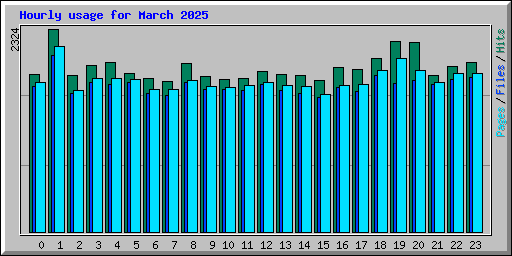 Hourly usage for March 2025