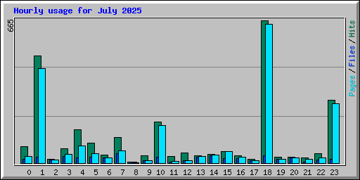 Hourly usage for July 2025