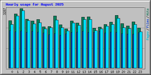 Hourly usage for August 2025