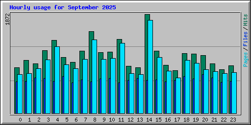Hourly usage for September 2025