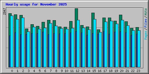 Hourly usage for November 2025