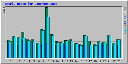 Hourly usage for December 2025