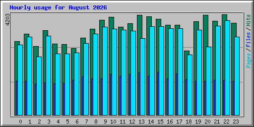 Hourly usage for August 2026